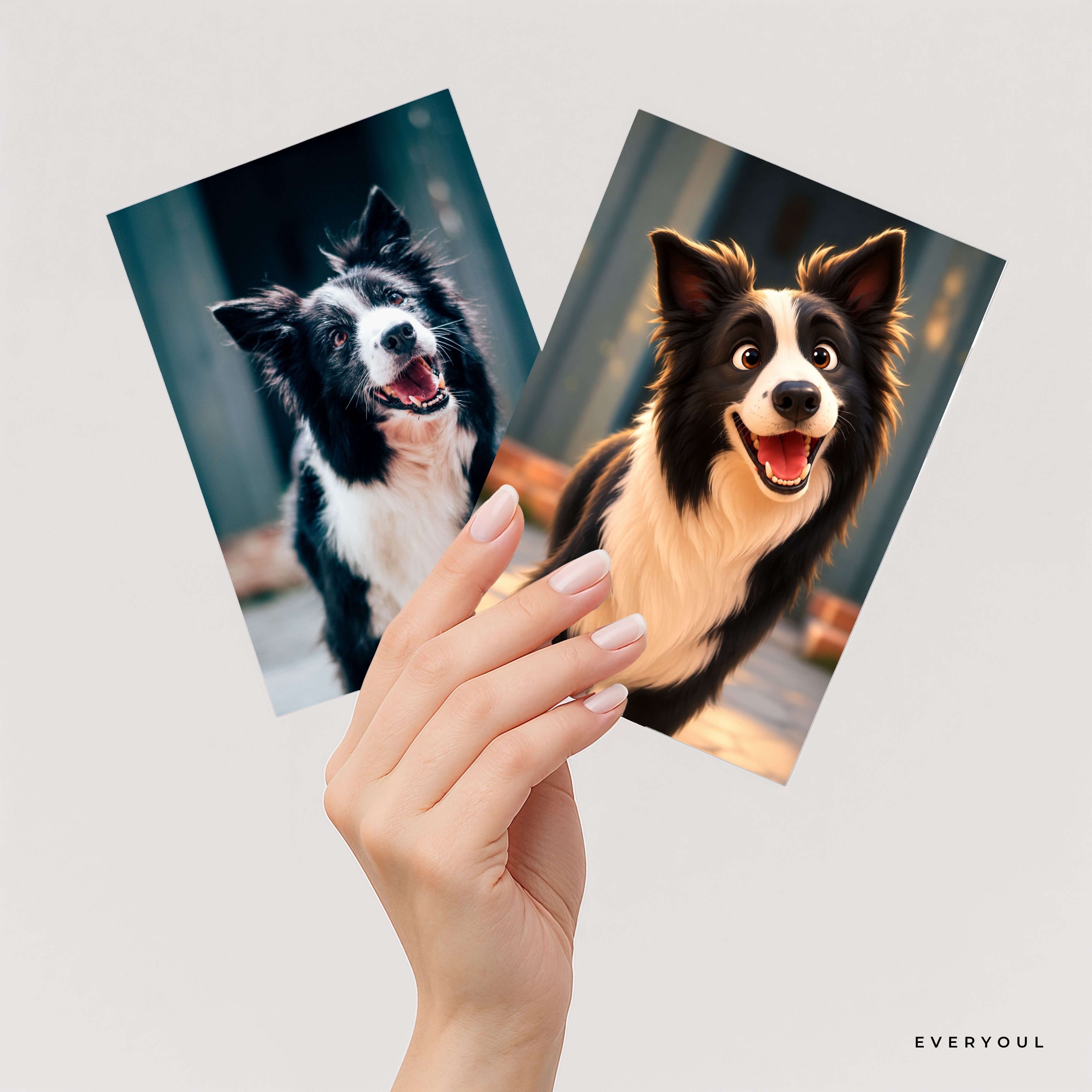 Animated portrait of Border collie